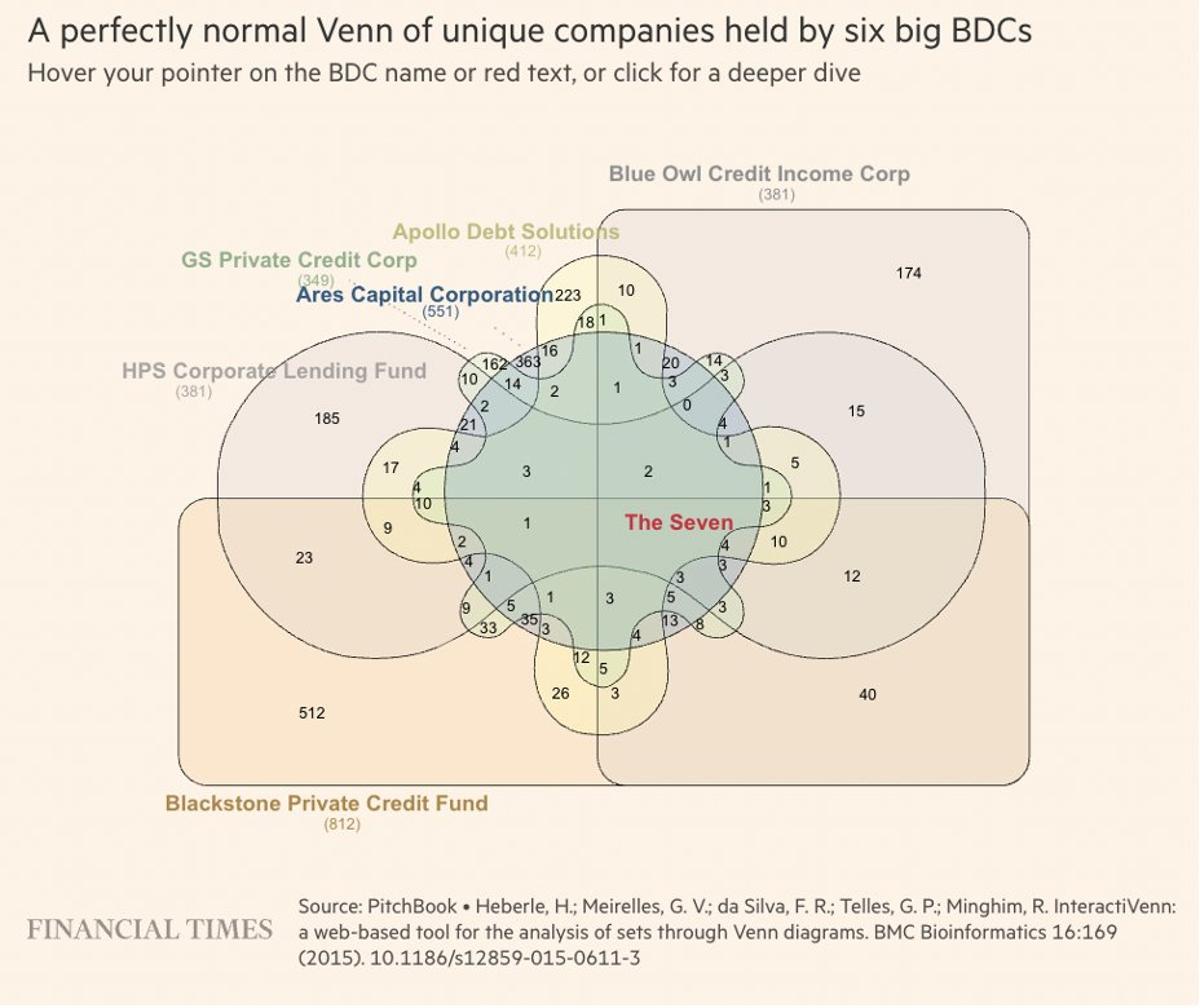 Private Credit Concentration Amplifies Private Equity Risk
