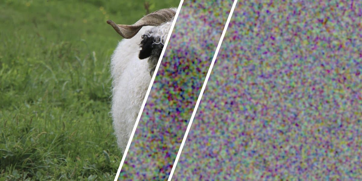 Nature Publishes First Experimental Randomness Amplification Breakthrough