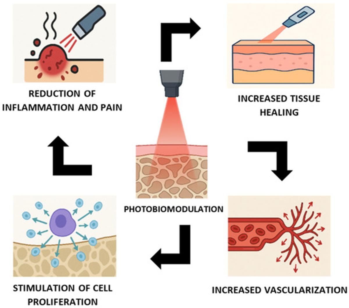 Red Light Therapy Proven for Healing, Anti‑Aging, Pain Relief