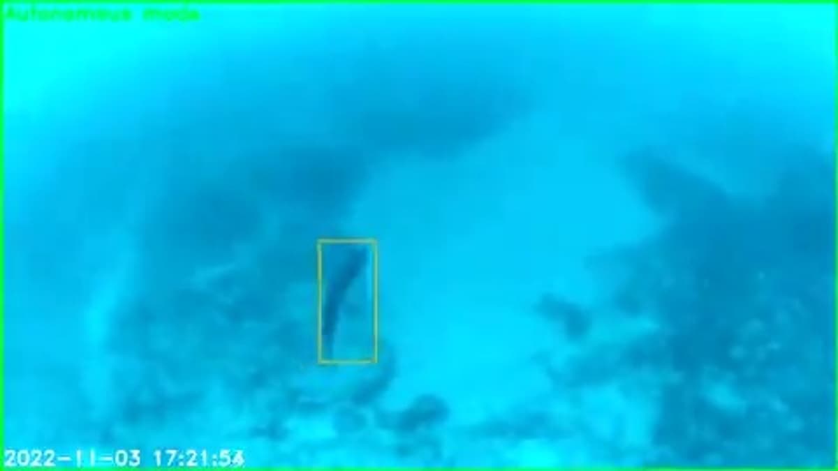 Autonomous Robot Maps Reef Biodiversity, Tracks Shrimp and Barracuda