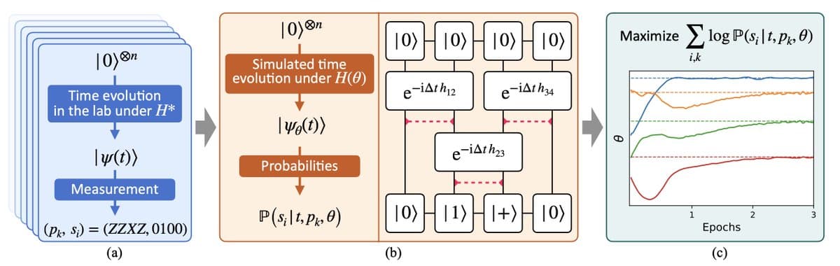 Scalable Hamiltonian Learning via Tensor Networks and ML