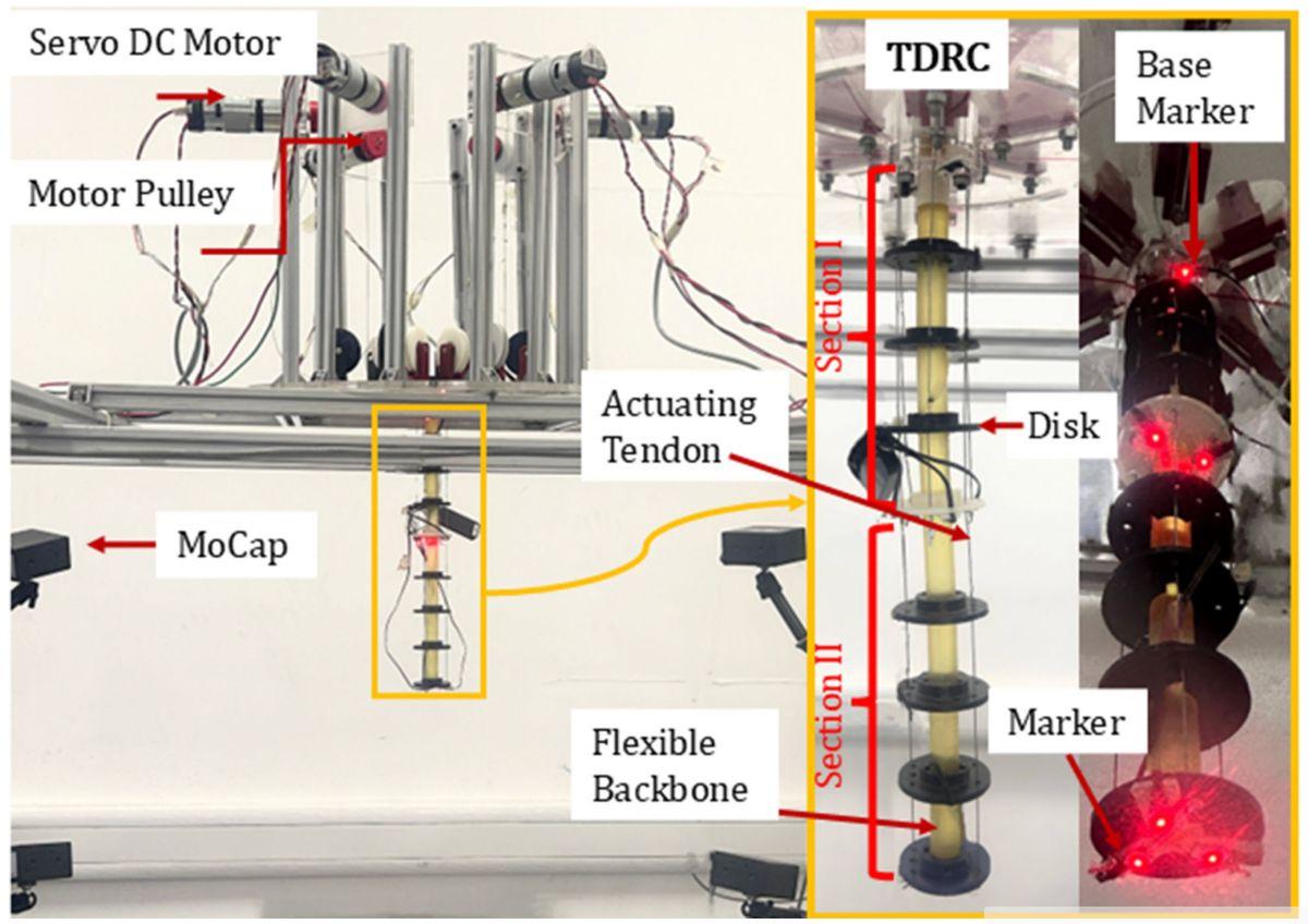 Flexible Robot Navigates Tight Spaces with Ease