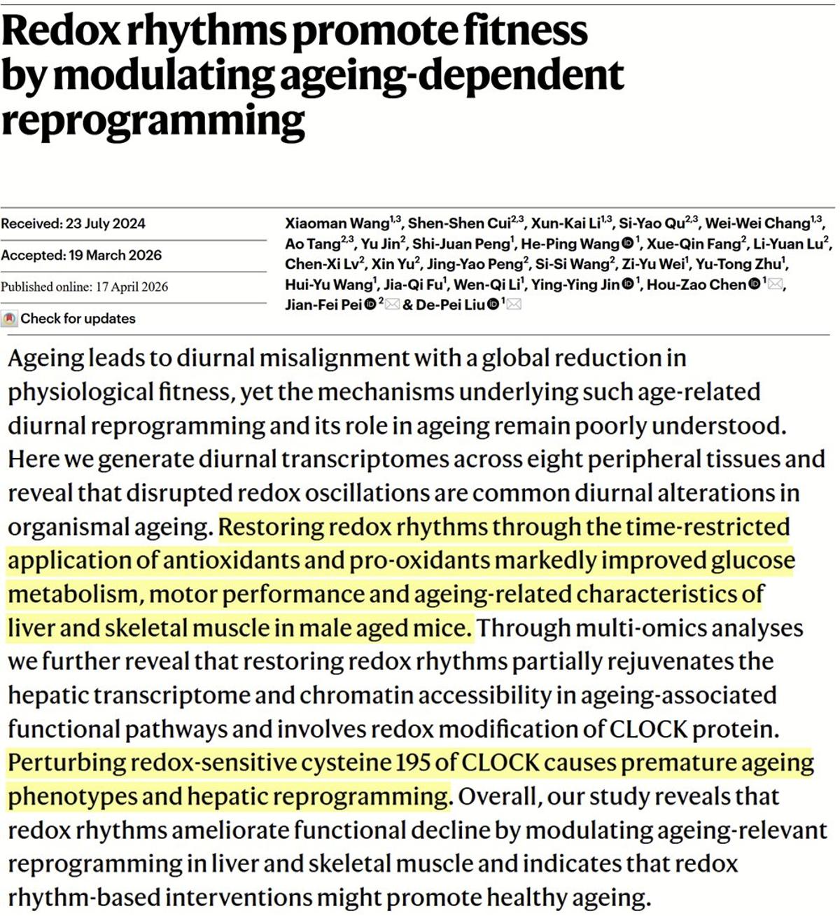 Timed Antioxidants Restore Redox Rhythms, Rejuvenate Aged Mice