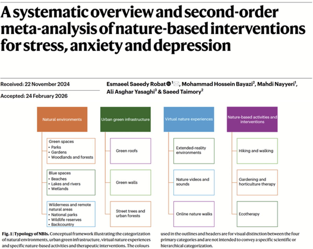 Nature Interventions Slash Anxiety, Boost Mood, Proven by Massive Meta‑Analysis