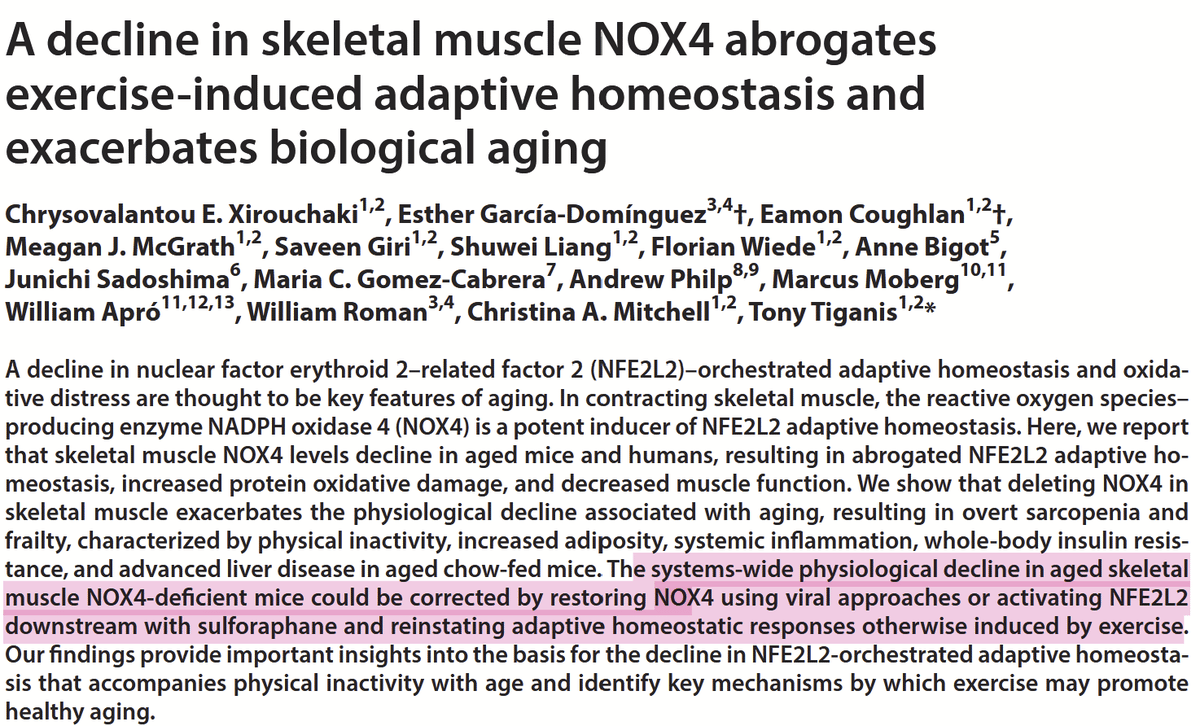 Restoring NOX4/NFE2L2 Pathway