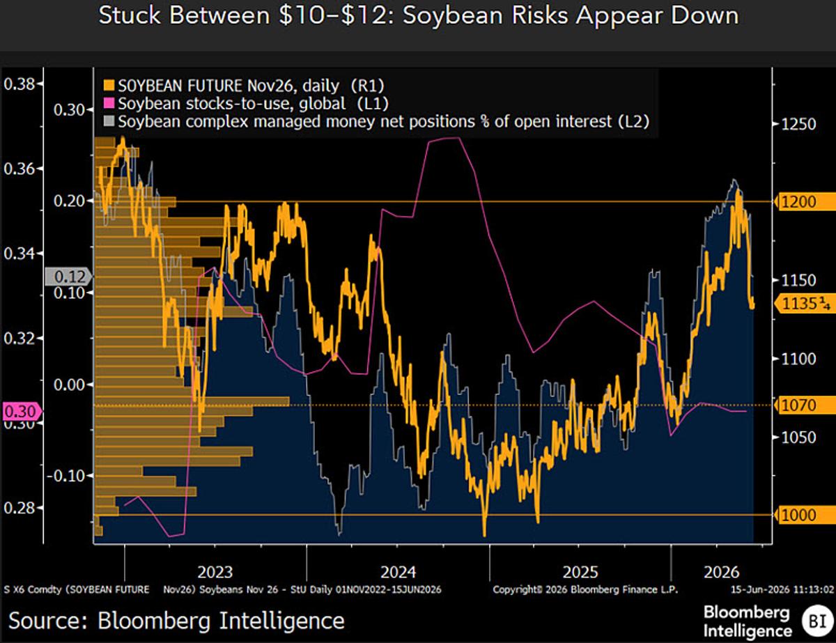 Soybean Prices Likely Slide Toward $10 Threshold