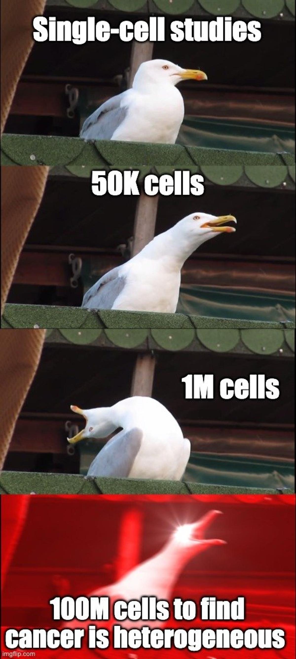Massive Cell Counts: Insight or Just Bigger Numbers?