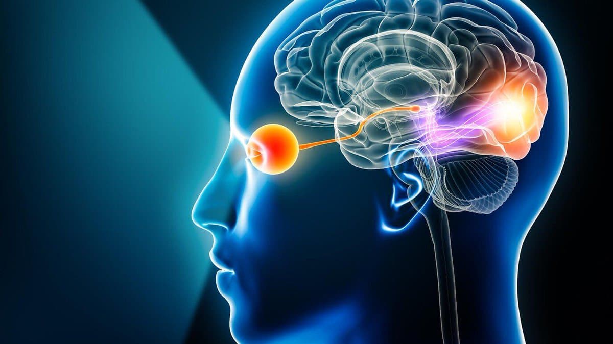AI Advances Bring Object-Level Vision Prosthetics Nearer