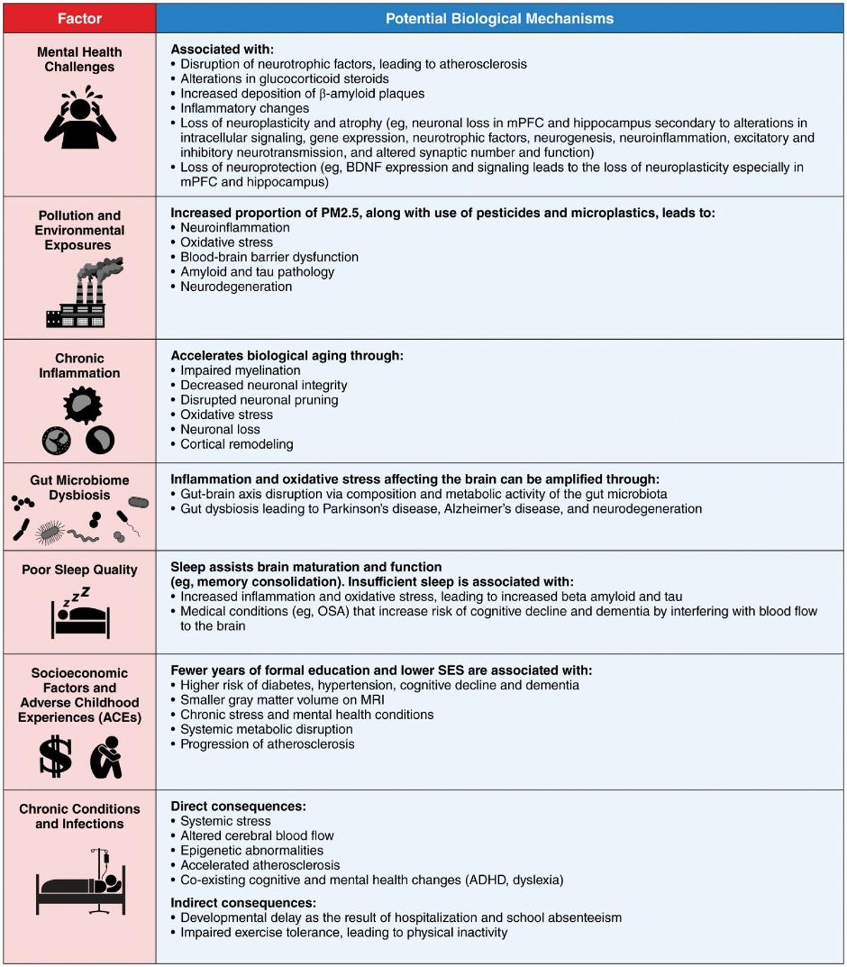 AHA Outlines Lifelong Brain Health Research Framework