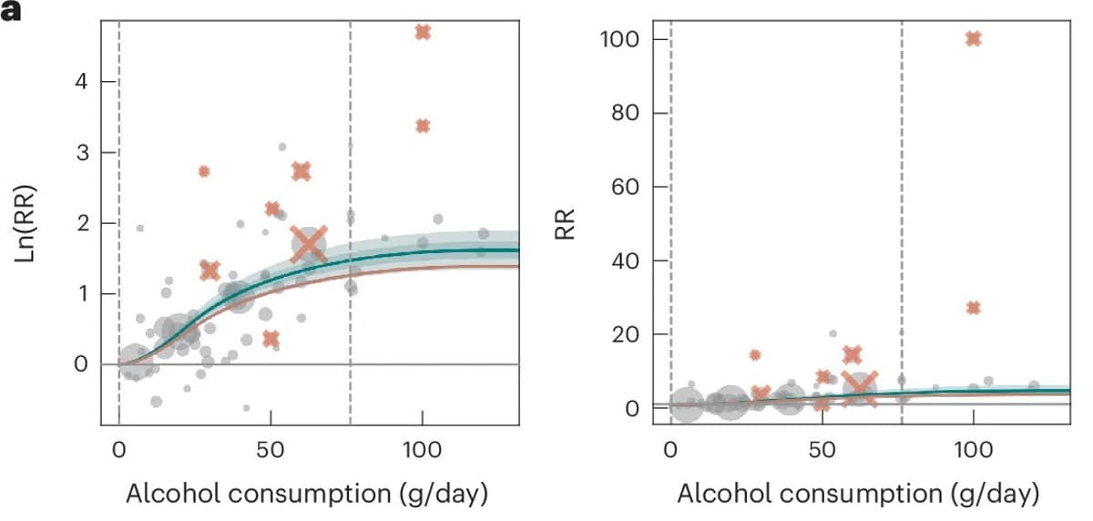 No Safe Alcohol Level: Cancer Risk Rises Linearly