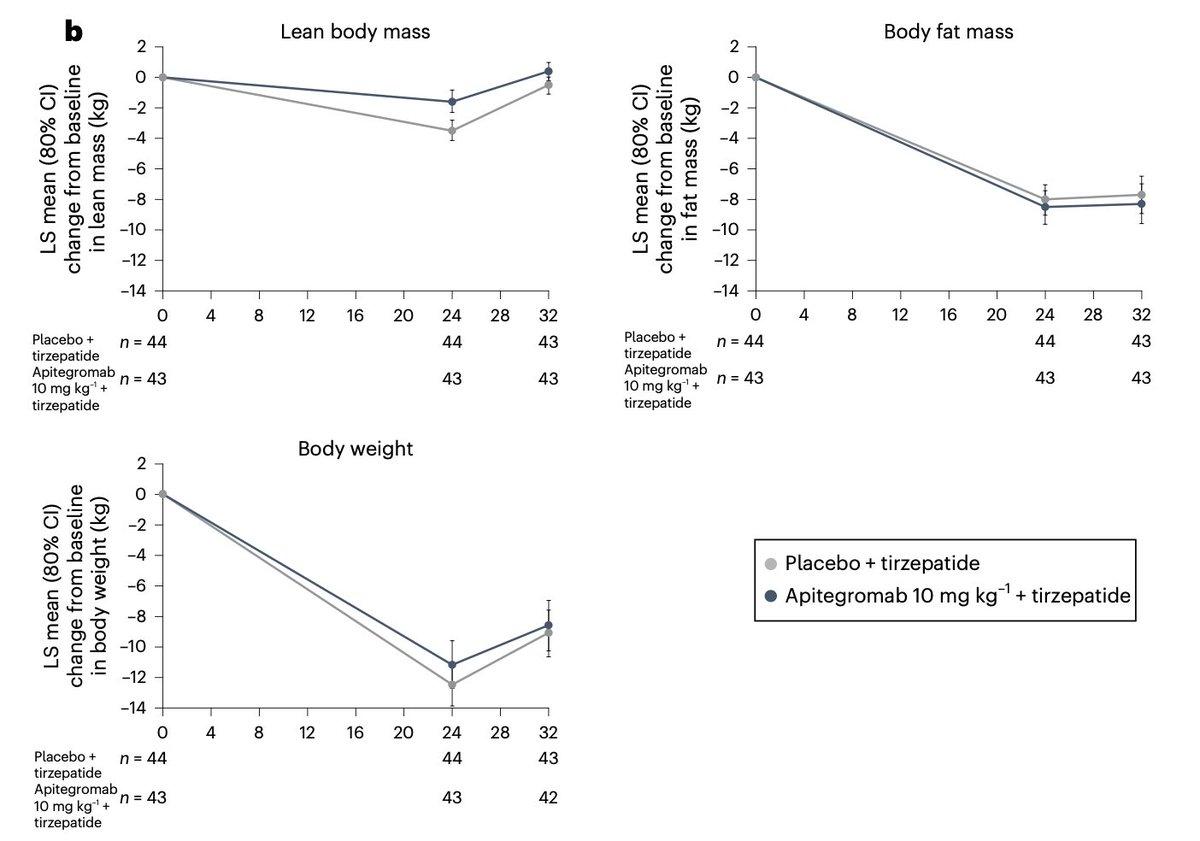 Myostatin Inhibitor Preserves 55% Lean Mass with Tirzepatide