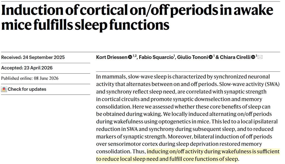 Wakeful “Off Periods” Replicate Sleep’s Memory Benefits