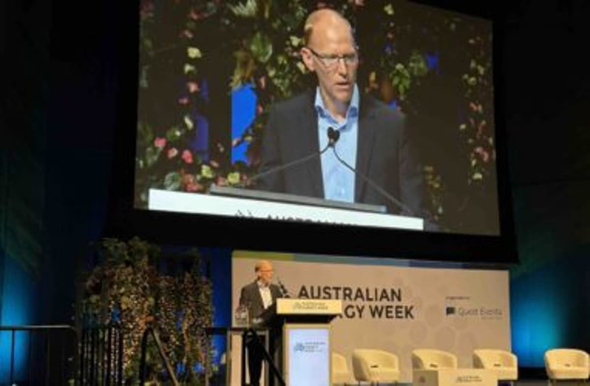 Batteries Redefine Grid Operations and Planning Blueprint