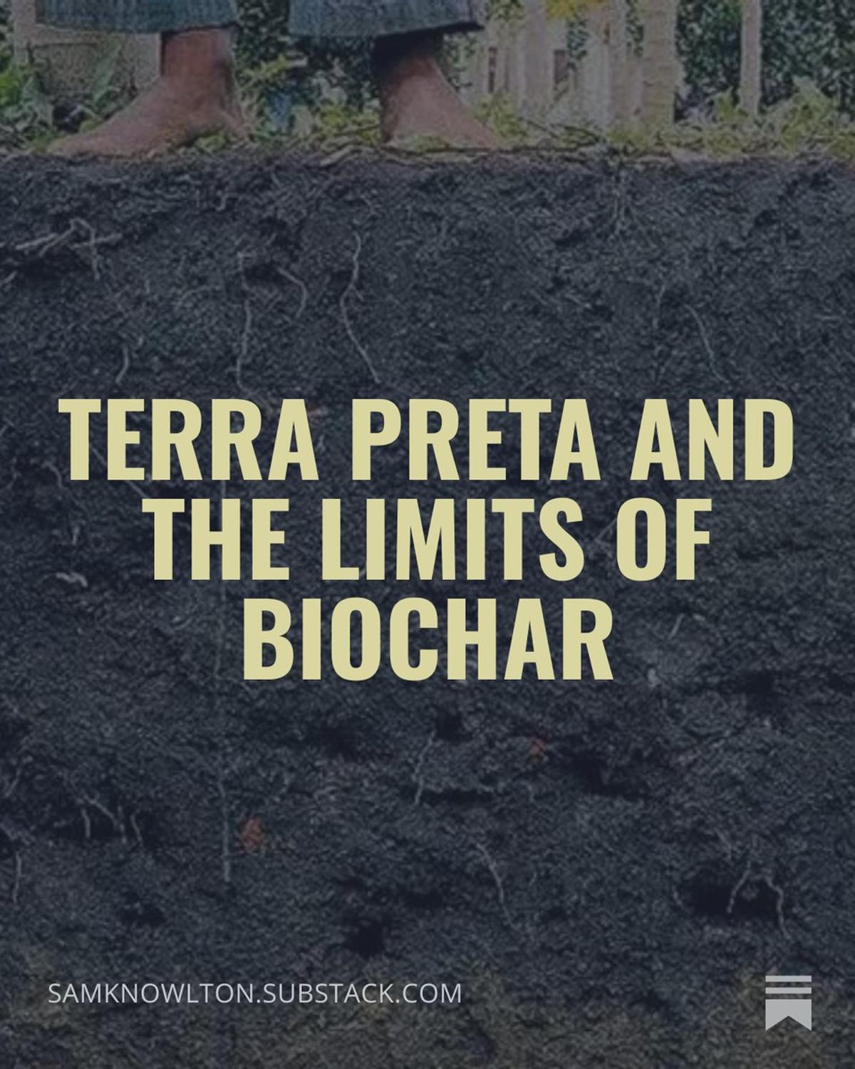Biochar Benefits Limited to Specific Soils, Not Universal Solution