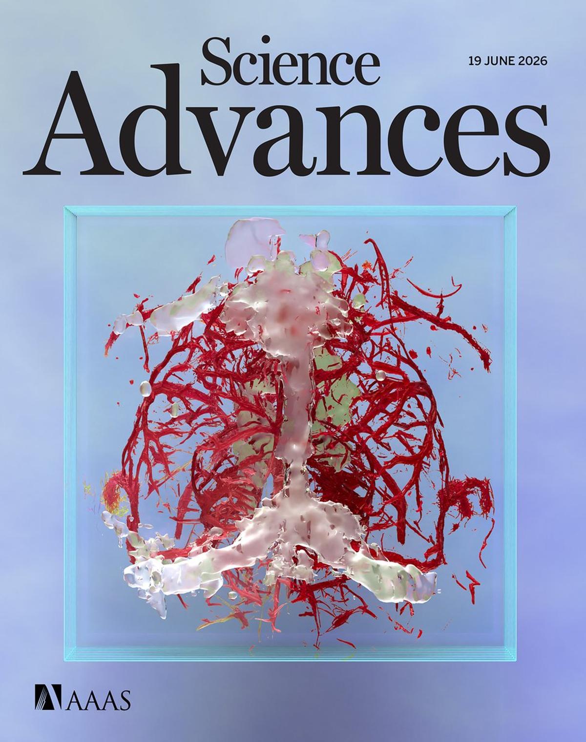 Aging Impairs Brain’s Waste‑Clearance Glymphatic Flow