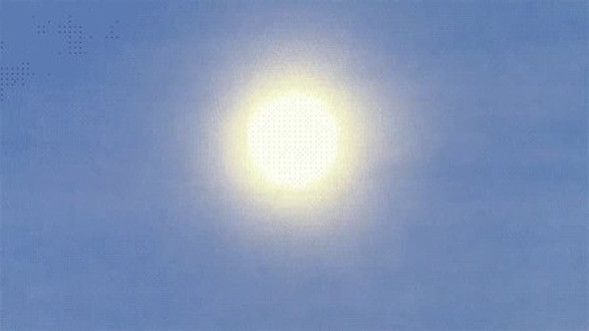 Booked Arizona Bird‑watching Trip, Now Feeling the Heat