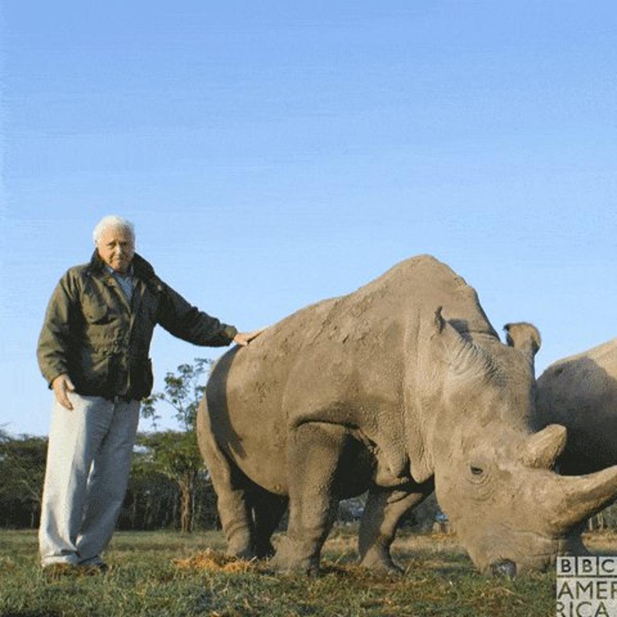 Five Longevity Secrets From 100‑Year‑Old Attenborough