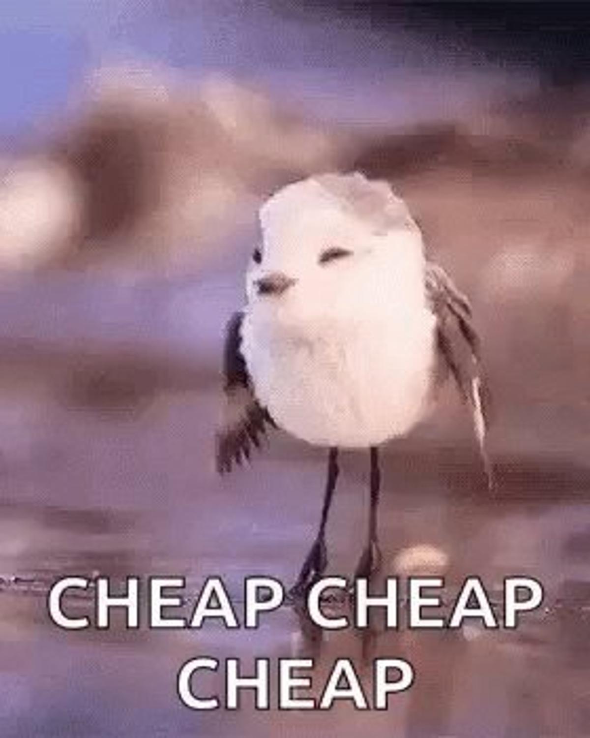 Buying Illiquid Japanese Stock Because It's Extremely Cheap