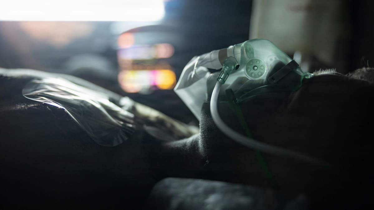 AZ Is Three for Three with COPD Hope Tozorakimab