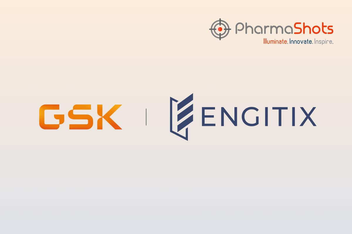 Engitix and GSK Partner on Human ECM Platform to Identify Liver Fibrosis Regression Targets