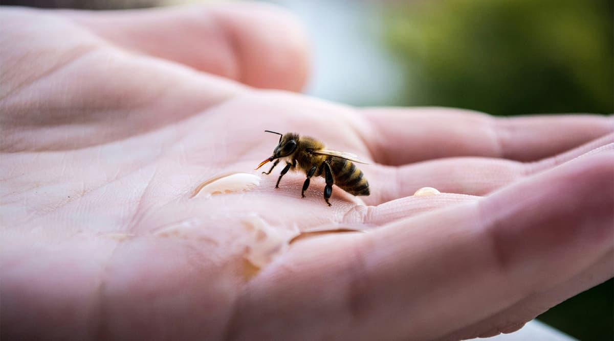 Philea Releases Most Comprehensive Report to Date on Environmental Philanthropy in Europe