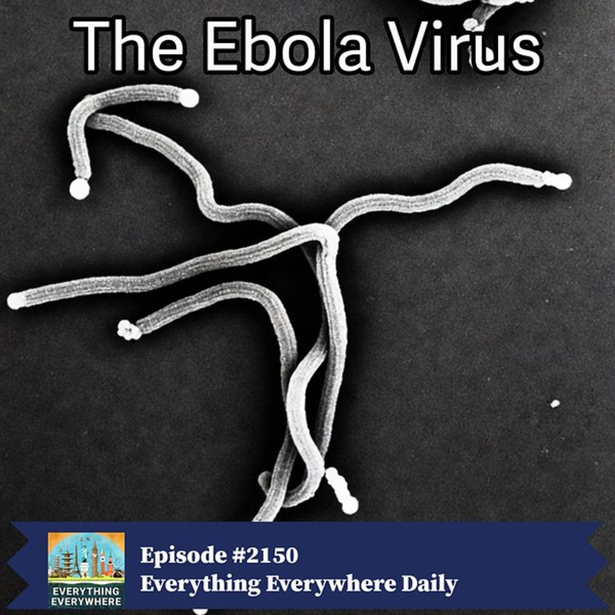 The Ebola Virus