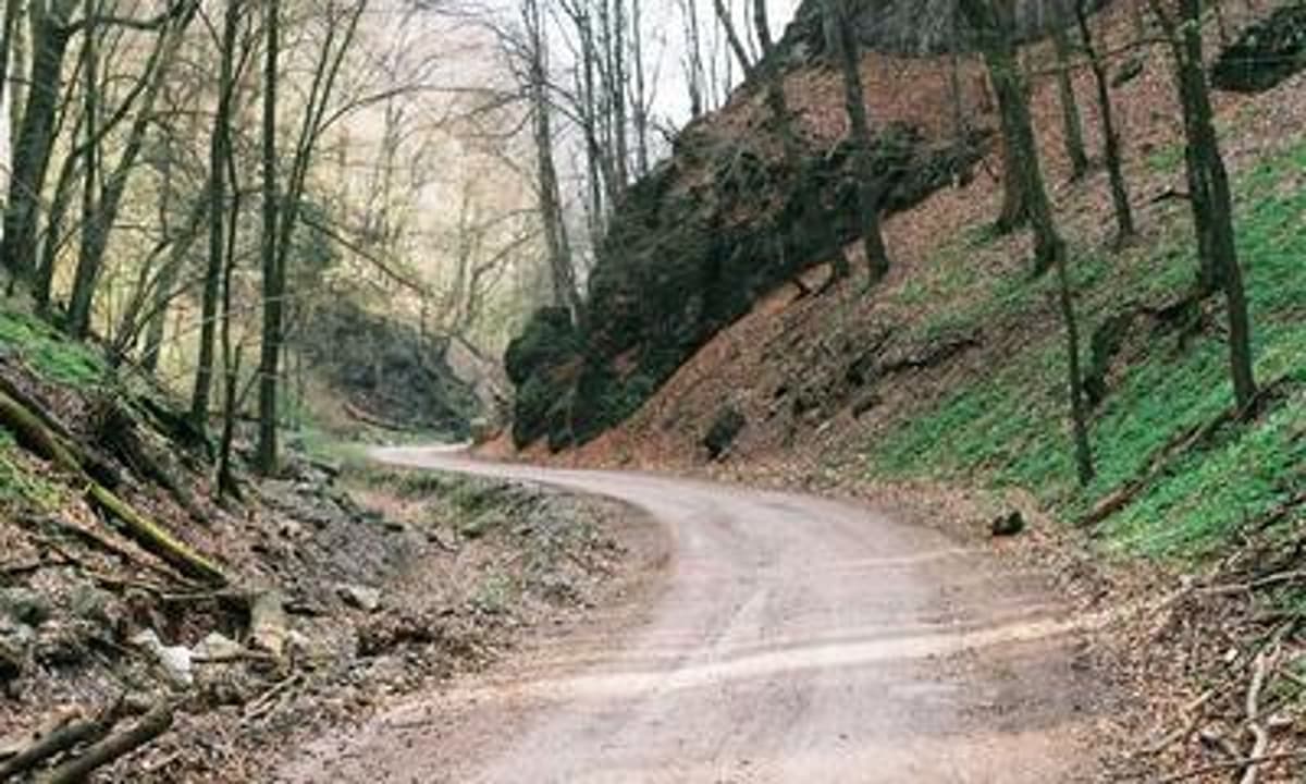 Top Story in Fashion