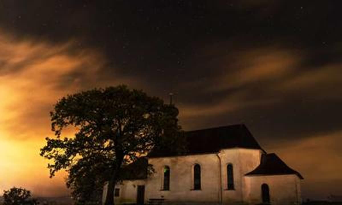 Top Story in Nutrition