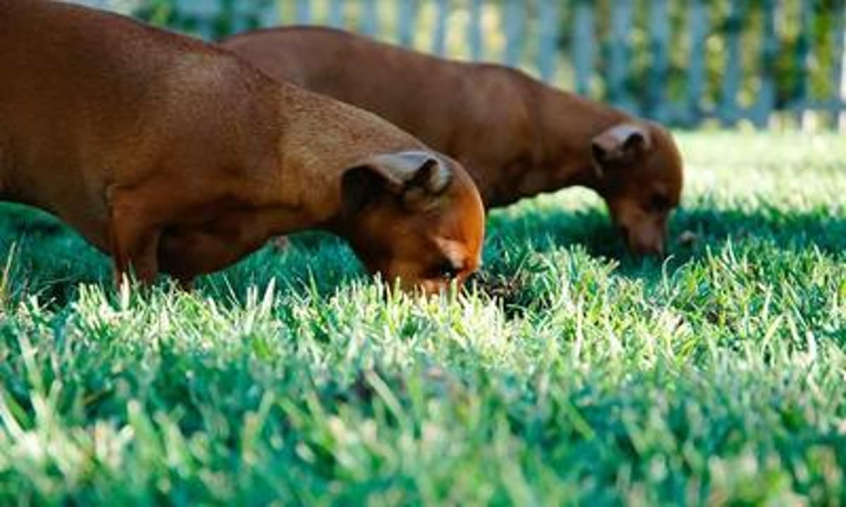 Top Story in Parenting