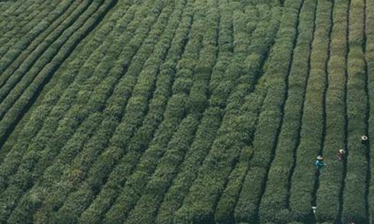 Top Story in Personal Growth