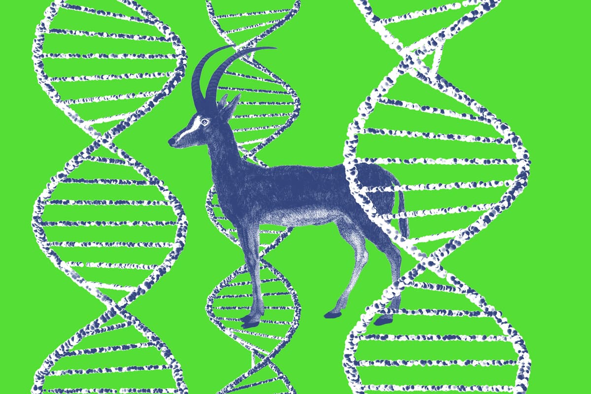 Is This ‘De-Extinction’ Project Actually Onto Something?