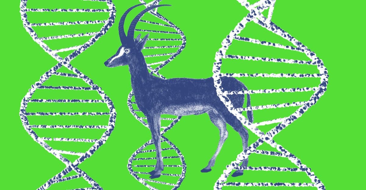 Is This ‘De-Extinction’ Project Actually Onto Something?
