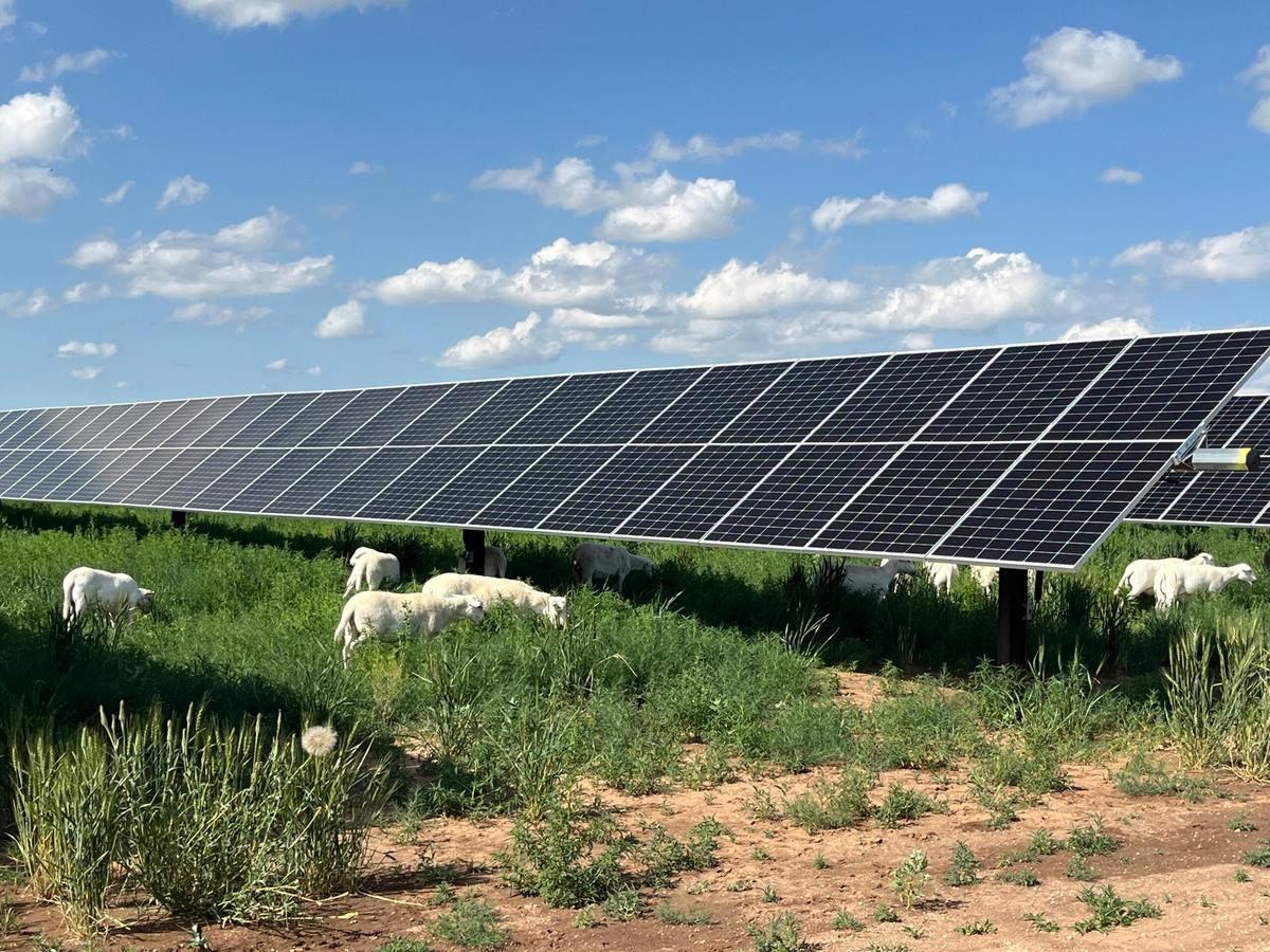 Vesper Energy Breaks Ground and Secures $236 Million for Another Huge Solar Project in Texas