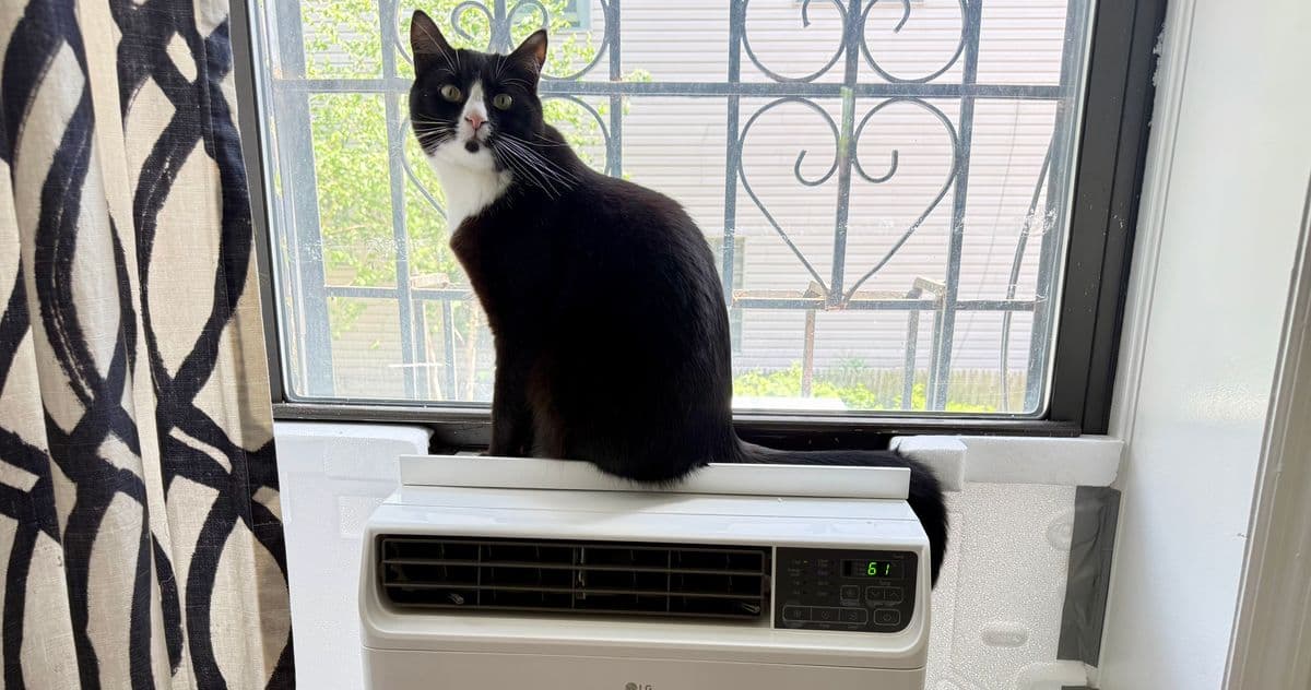 There’s a New Generation of Window AC Units. We Found the Best Ones.
