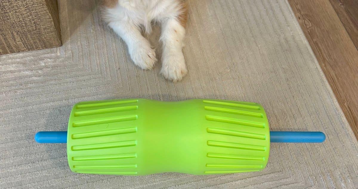 I Graduated to an Extra-Firm Foam Roller and I’m Never Going Back