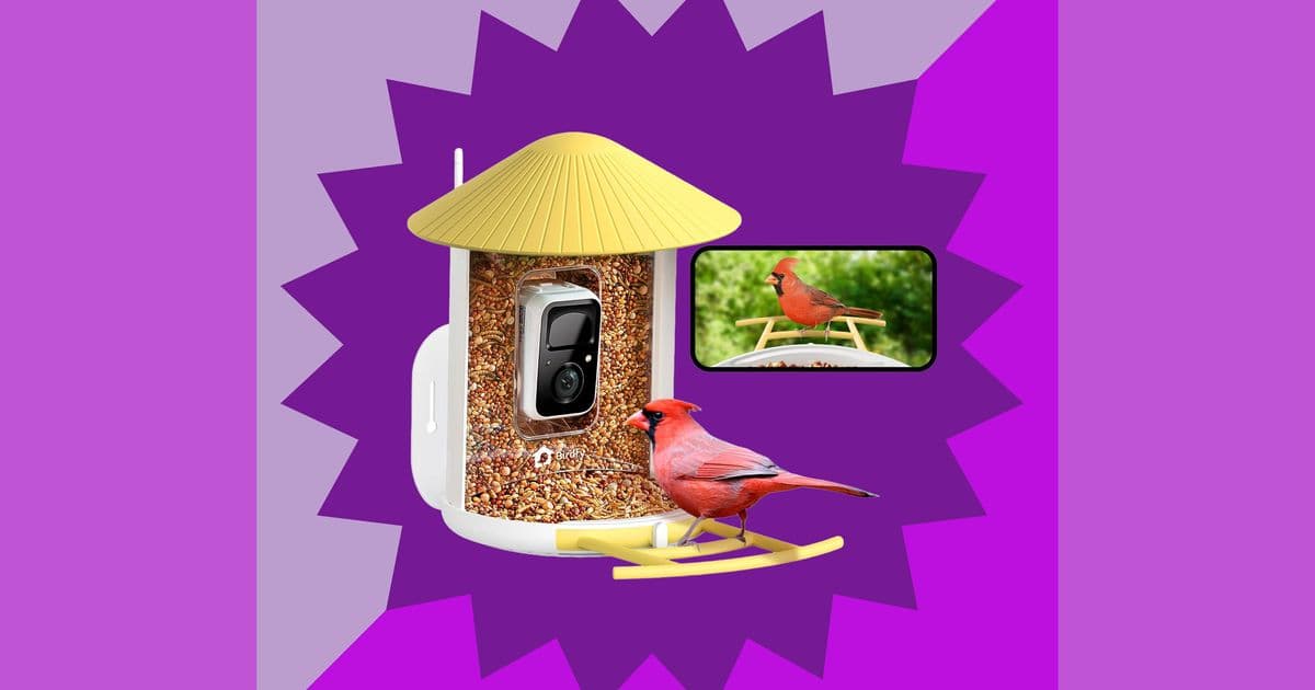 Our (and Amy Tan’s) Favorite Smart Bird Feeder Is $100 Today