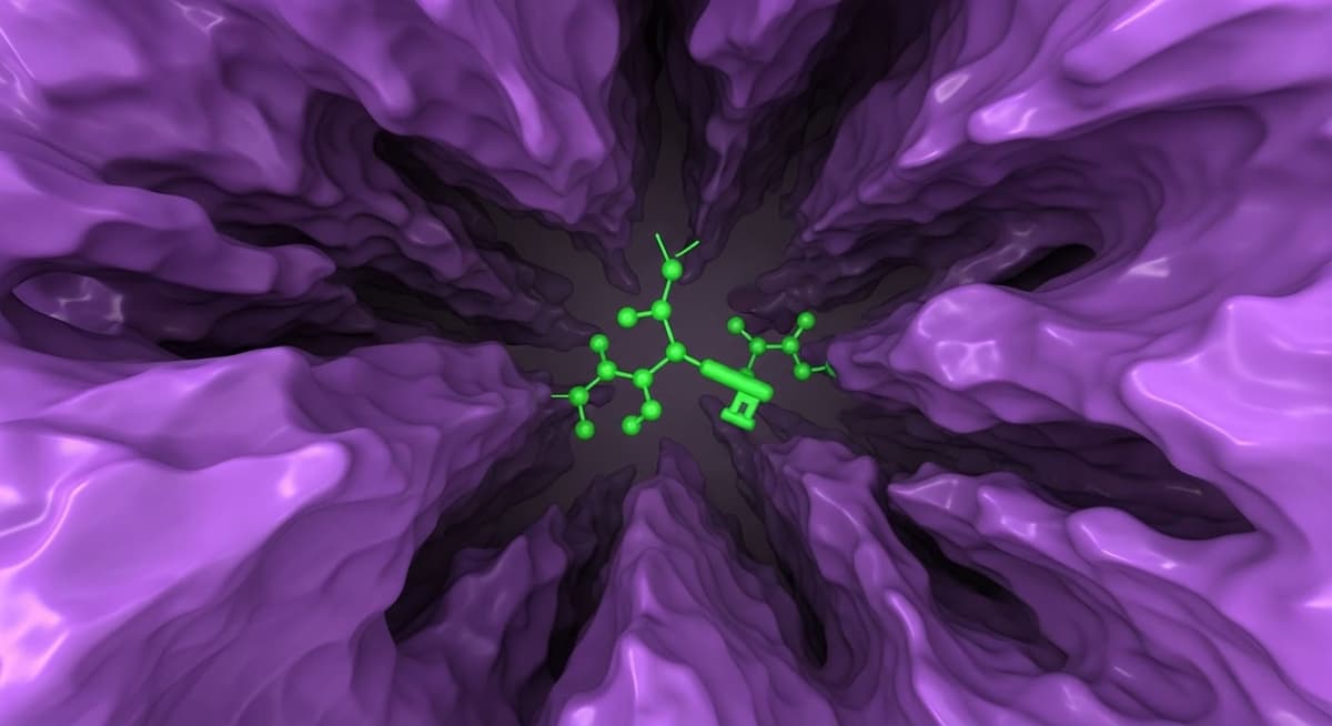 Equal1’s Silicon Processors Power Kvantify’s Quantum Simulation Workloads