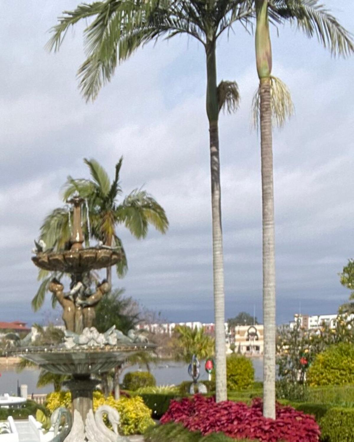 Financial Details Emerge In Hall’s Lakeland Exit