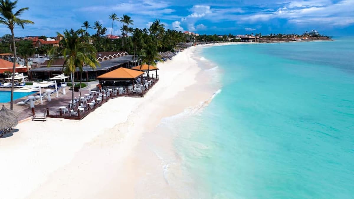 Divi And Tamarijn Aruba Add New Features For 2026