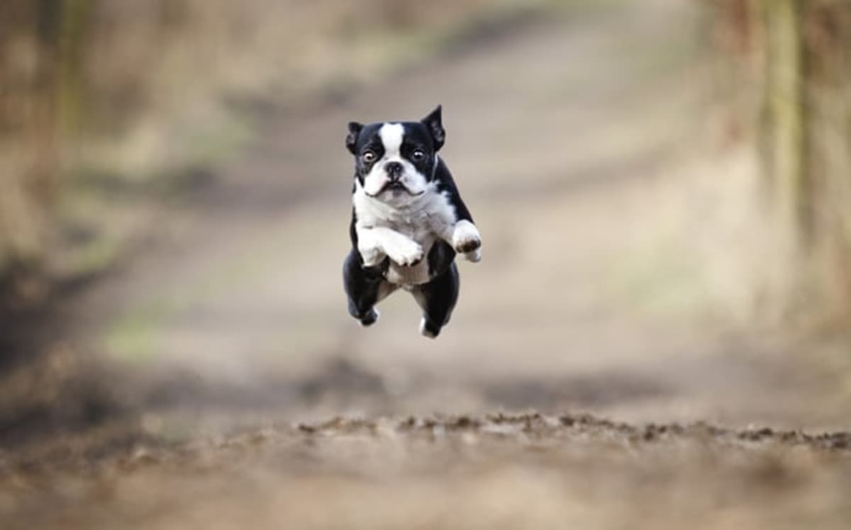 Datadog Digs Down Into GPU Efficiency as AI Costs Soar