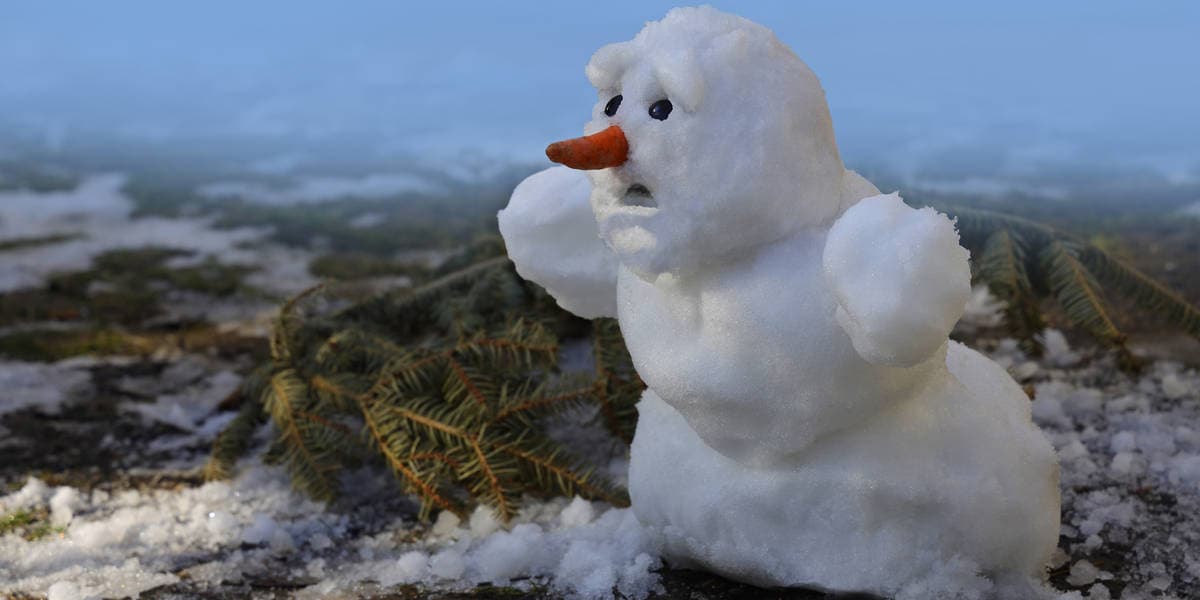 Snowflake Update Caused a Blizzard of Failures Worldwide