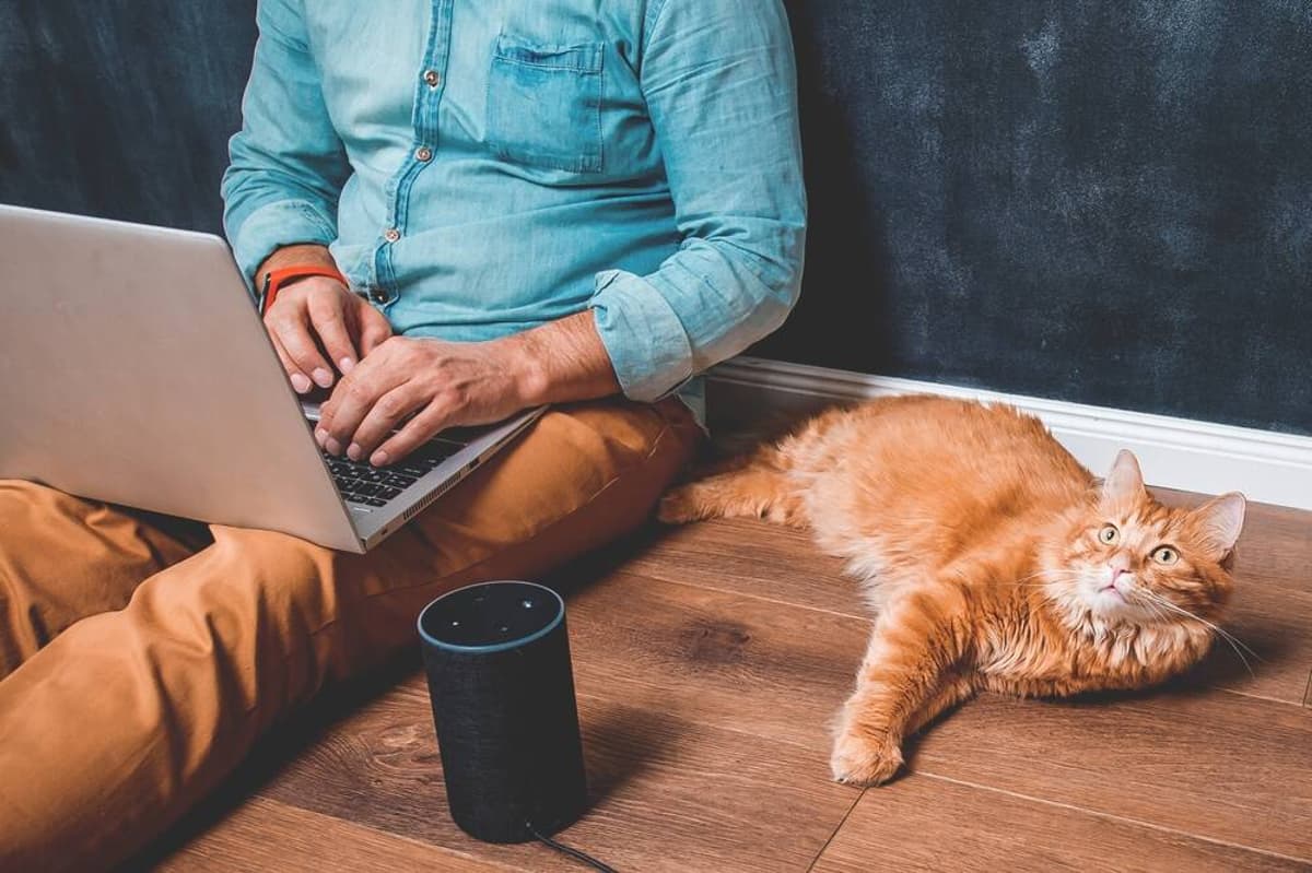 Attention Data Hoarders: Alexa Loses Its Plex Appeal as Voice Feature Gets Canned