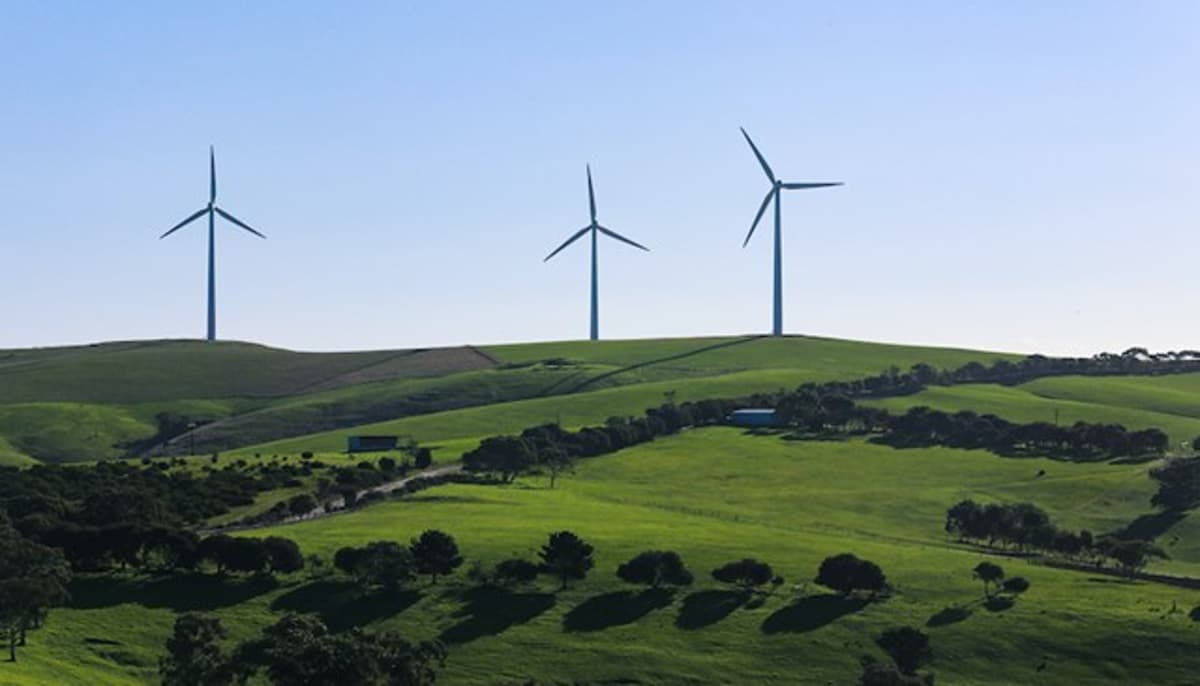 Onshore Wind Lands 1.3GW Haul