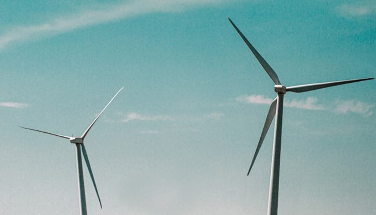 Hexicon Reports Challenging Year for Floating Wind