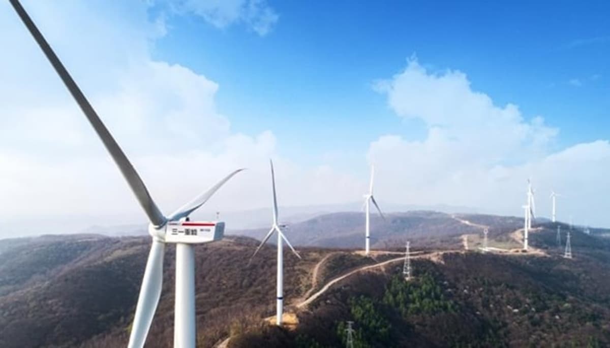 Chinese OEMs Dominate 2025 Wind Market