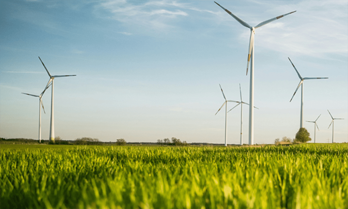 Review Finds 'No Infrasound Harm Risk'