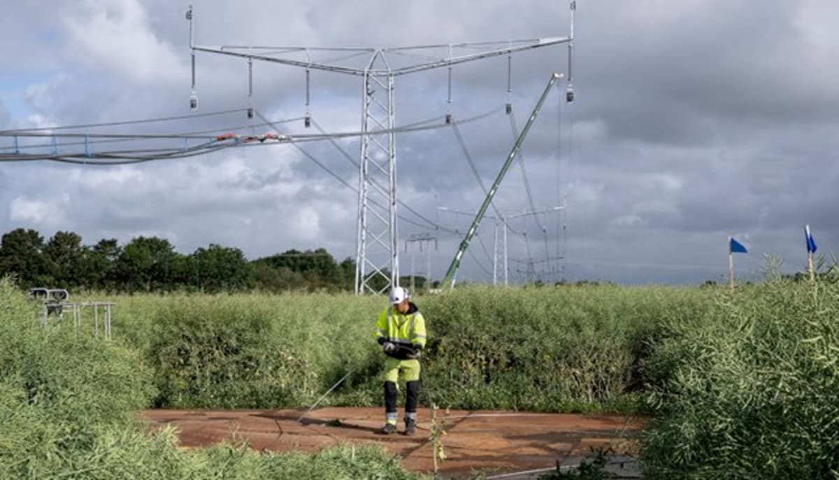 Energinet Pauses Connections Amid Soaring Demand