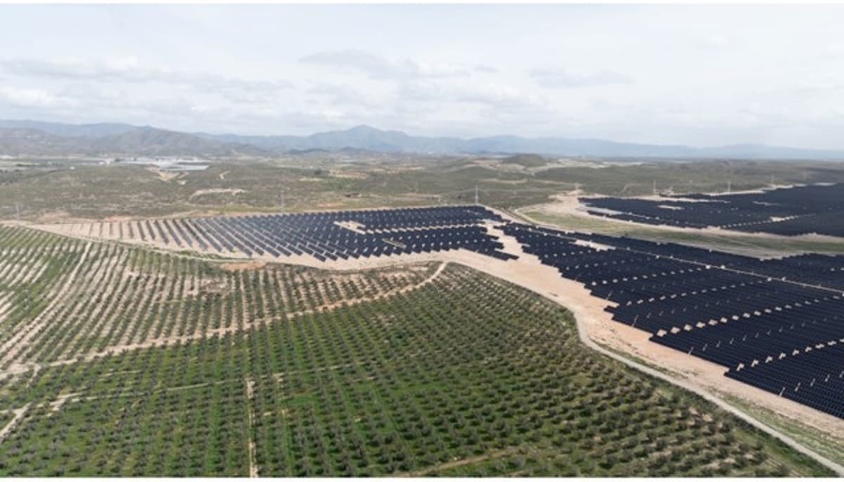 BNZ Targets 850MW Storage Pipeline