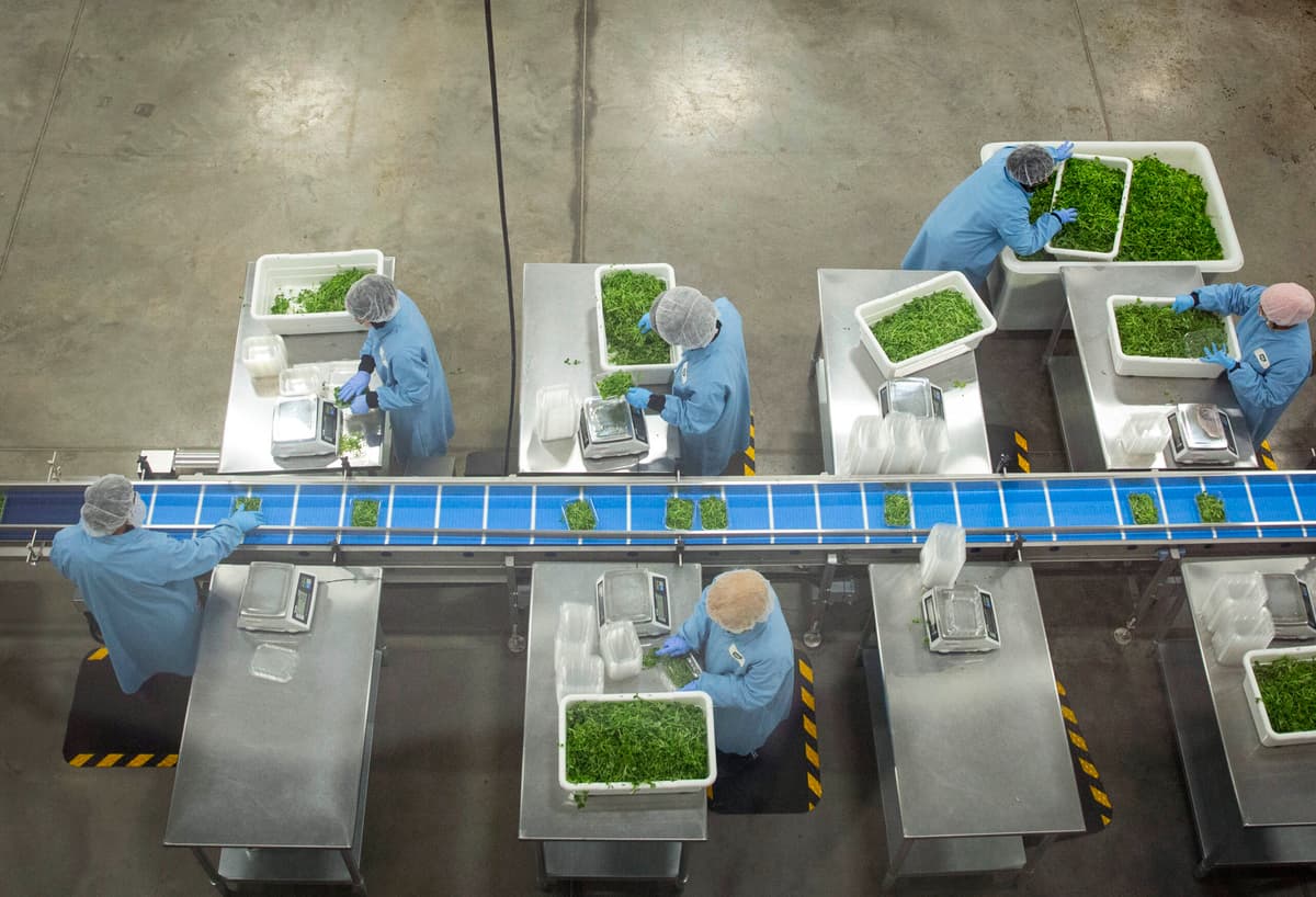 GoodLeaf Farms Launches Mobile Tour to Promote Indoor-Grown Greens in Ontario, Atlantic Canada