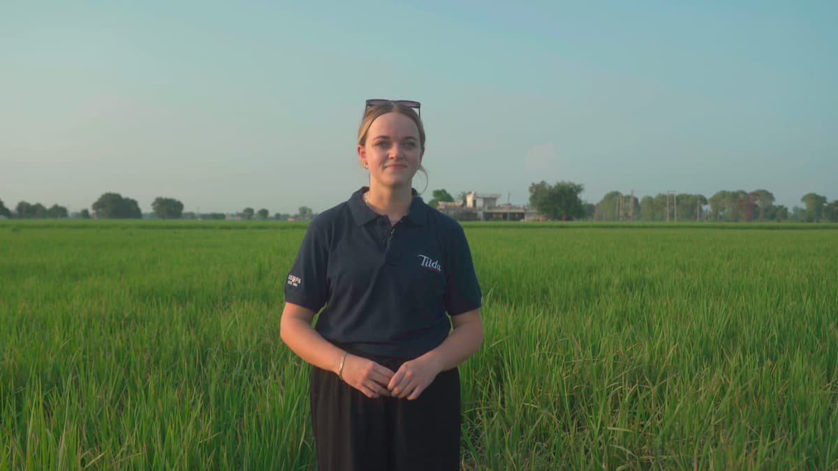 Tilda® Unveils Fourth Impact Report – Scaling Lower-Emission Rice Farming
